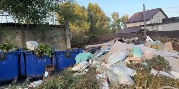 ПодОпытное поле: зелёный уголок Ульяновска рискует превратиться в свалку