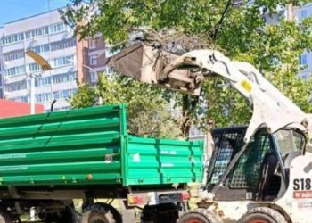 В Ульяновске объявлена санитарная пятница перед Днём города