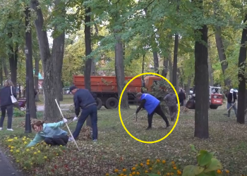 Мэр с граблями потрудился на субботнике в центре Ульяновска