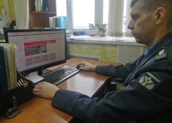 130 тысяч тонн зерна забраковали в Ульяновской области