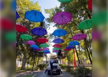 Зонтичное небо появилось над парком Победы в преддверии Дня города