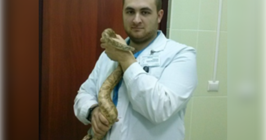 Ульяновские ветеринары спасли от гибели императорского удава