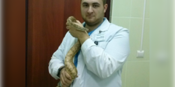 Ульяновские ветеринары спасли от гибели императорского удава