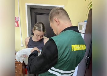 Полсотни ульяновских питомцев вывезли за границу с начала года