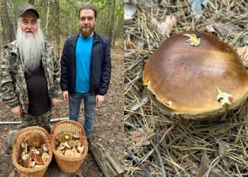 Митрополит Лонгин показал грибной «улов» из Кузоватовского района