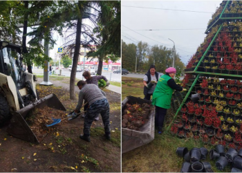150 зеленых зон Ульяновска готовят к зимнему сезону