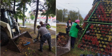 150 зеленых зон Ульяновска готовят к зимнему сезону