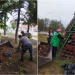 150 зеленых зон Ульяновска готовят к зимнему сезону