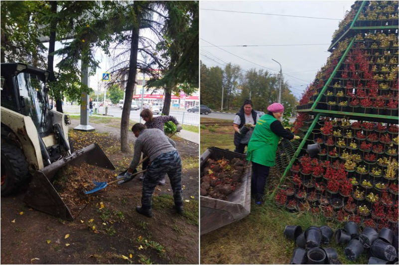 150 зеленых зон Ульяновска готовят к зимнему сезону