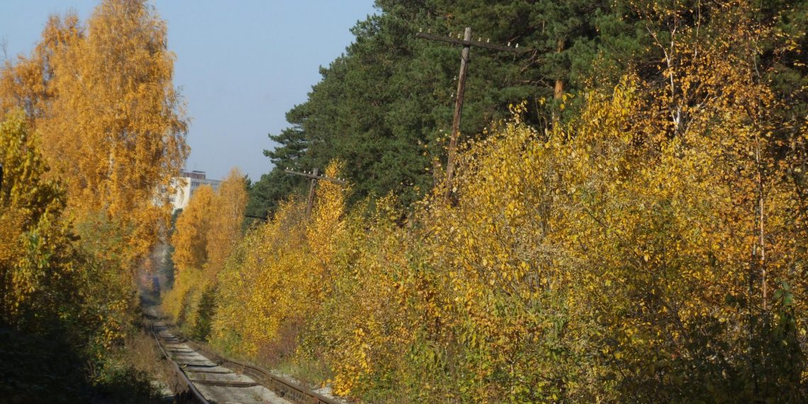 Ж/д рельсы демонтируют на проспекте Созидателей в Ульяновске