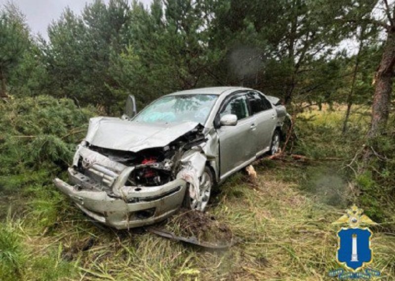 Под Ульяновском Toyota с пьяным водителем улетела в кювет, протаранила дерево и перевернулась