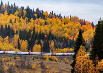 Из Ульяновска запускают осенние туристические поезда: смотрим — куда