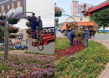 Ульяновск готовится к заморозкам: цветочные вазоны отправляются на зимнее хранение