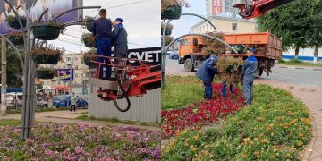 Ульяновск готовится к заморозкам: цветочные вазоны отправляются на зимнее хранение