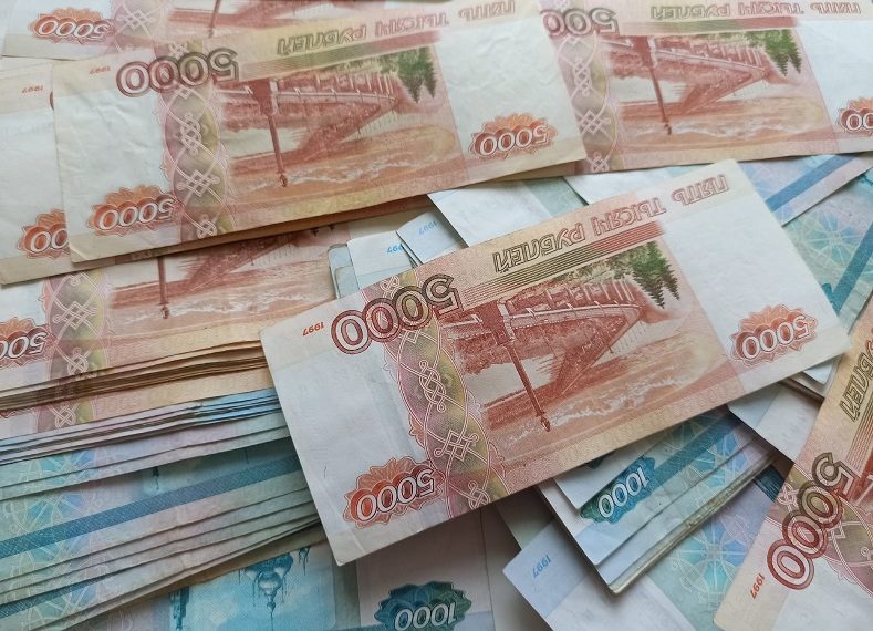 Ульяновский коммерсант скрыл от налоговой 9,1 млн рублей