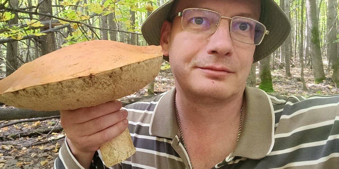 Ульяновские спасатели дали советы грибникам