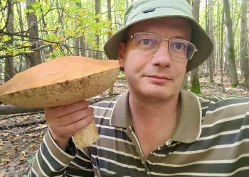 Ульяновские спасатели дали советы грибникам