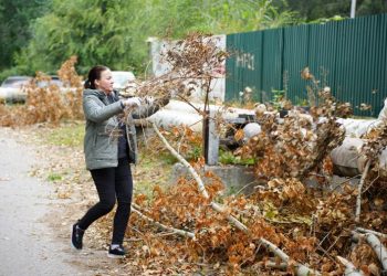 Более 500 кубометров мусора собрали ульяновцы на общегородском субботнике