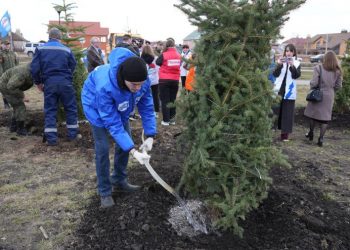 Ульяновск готовится к масштабной высадке деревьев и кустарников: названы улицы и скверы