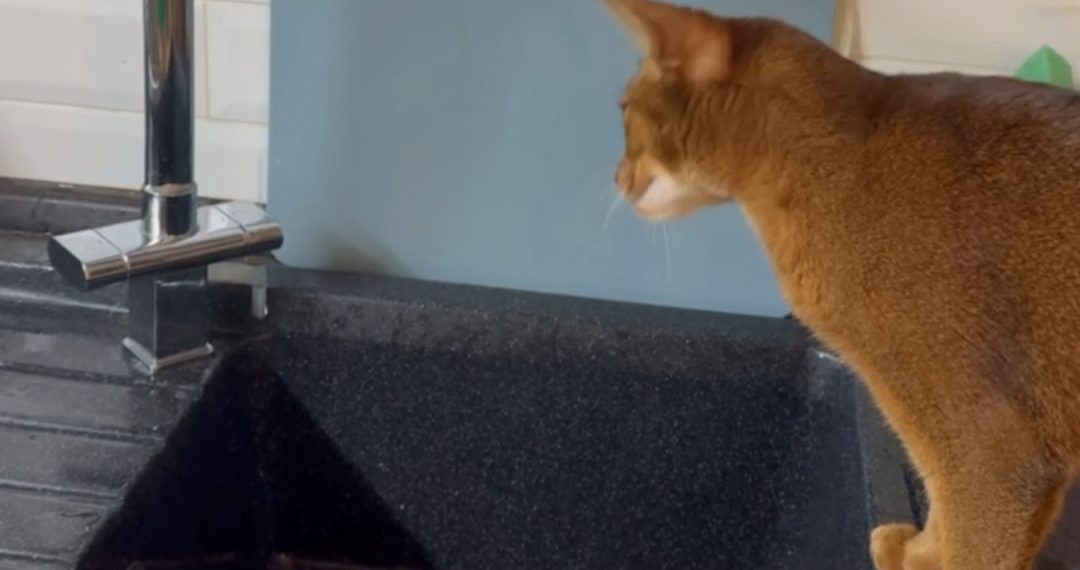 Улица Промышленная в Ульяновске частично осталась без воды