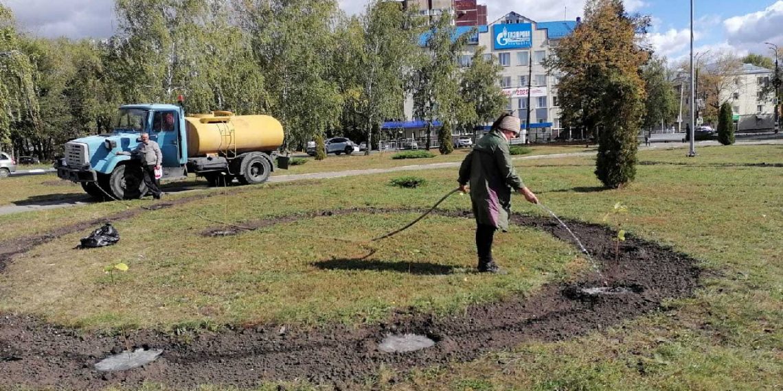 «Крыло бабочки» и розовые яблони появятся на севере Ульяновске