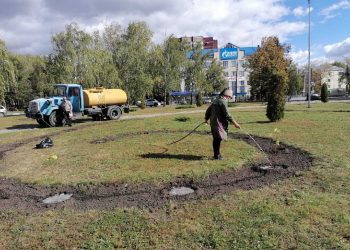 «Крыло бабочки» и розовые яблони появятся на севере Ульяновске