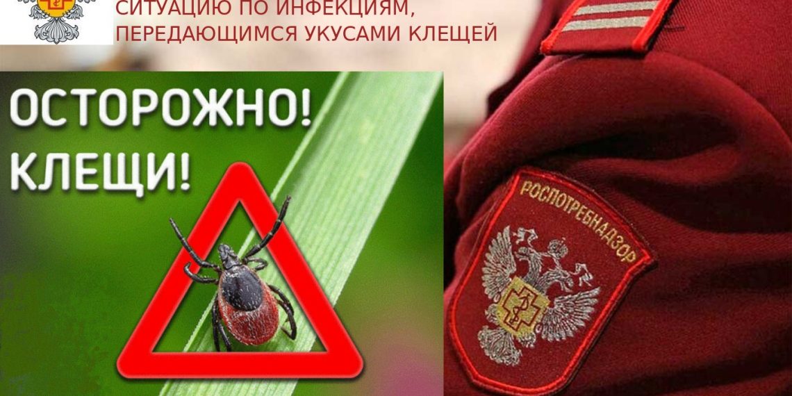 За неделю в Ульяновской области зарегистрировано более 100 укусов клещей