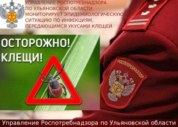 За неделю в Ульяновской области зарегистрировано более 100 укусов клещей