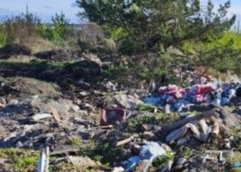 Ульяновская природоохранная прокуратура пресекла незаконное складирование мусора