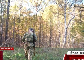 В Ульяновской области сотрудника охотхозяйства подозревают в убийстве косули