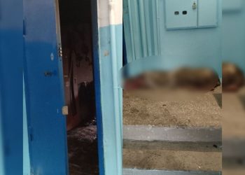 Ночью на Краснопролетарской в Ульяновске при пожаре погиб мужчина