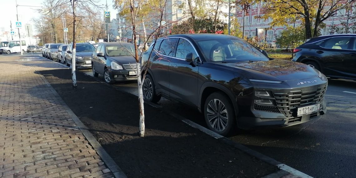 На Гончарова в Ульяновске обустраивают новые зелёные зоны