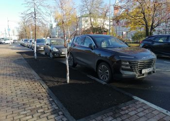 На Гончарова в Ульяновске обустраивают новые зелёные зоны