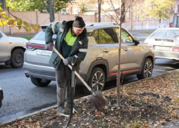 Ульяновск озеленяют: на улице Ленина высадили 10 крупномерных лип