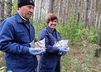 В Ульяновской области завершили вакцинацию диких животных от бешенства