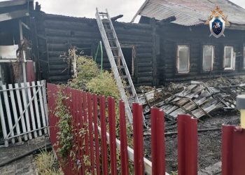 Житель Ульяновской области заживо сгорел в собственном доме