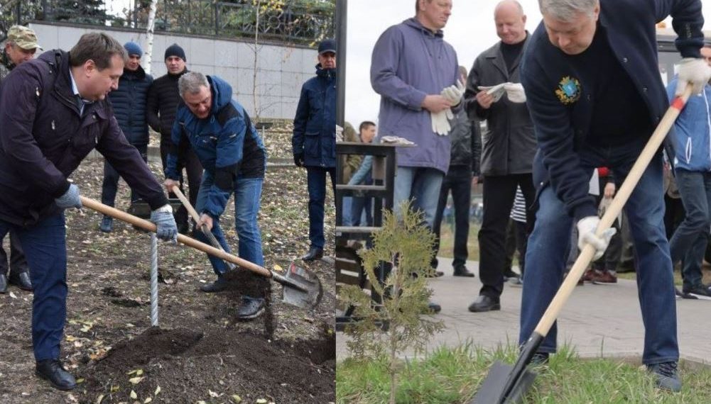 Русских, Болдакин и засвияжцы высадят 25 пирамидальных тополей на Камышинской