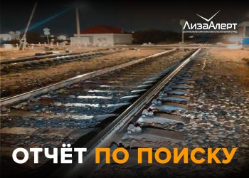 «Люди проходили мимо»: в «ЛизаАлерт» рассказали о тяжёлых поисках ульяновского пенсионера