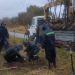 3759 деревьев в рамках осеннего благоустройства высадили в Ульяновской области
