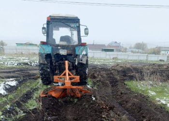 Ульяновск подготовился к пожароопасному сезону с запасом: создано более 55 км защитных полос