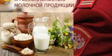 Ульяновский Роспотребнадзор забраковал каждую шестую пробу молочной продукции