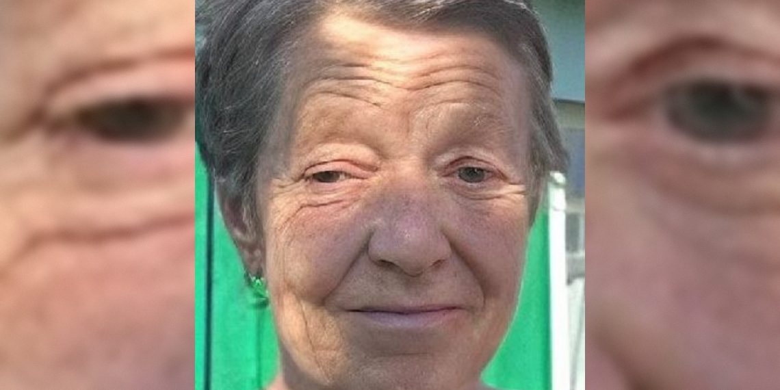 76-летняя женщина без вести пропала в Цильнинском районе