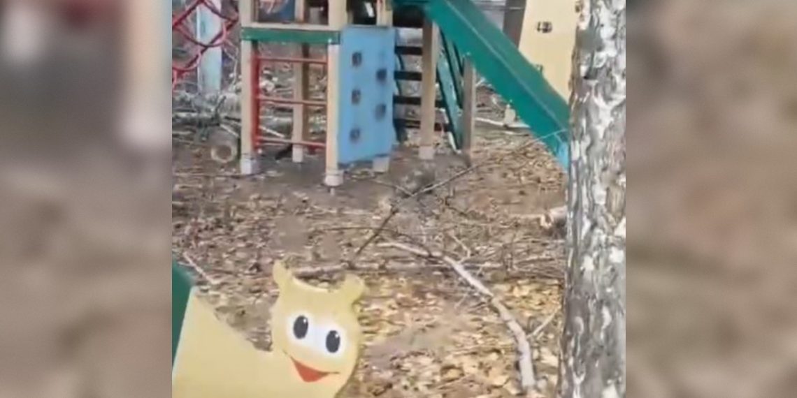 В Димитровграде детские площадки завалили обрубками поваленных деревьев