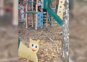 В Димитровграде детские площадки завалили обрубками поваленных деревьев