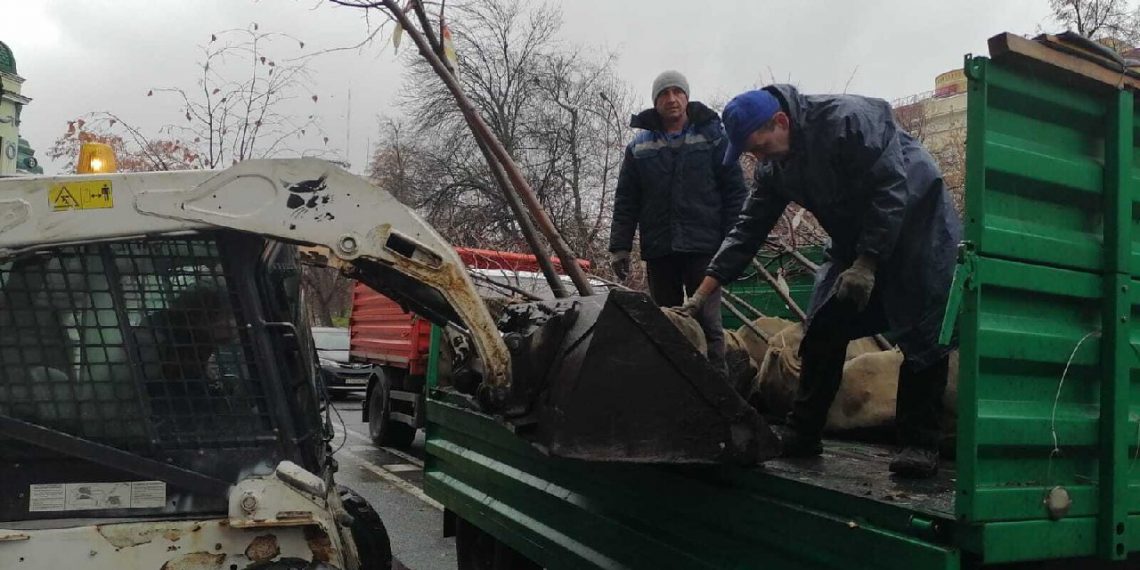 Второй этап озеленения улицы Гончарова стартовал в Ульяновске