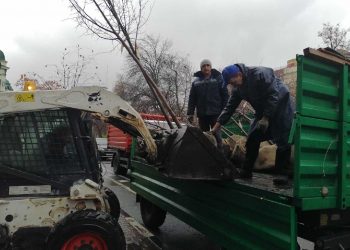 Второй этап озеленения улицы Гончарова стартовал в Ульяновске