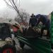 Второй этап озеленения улицы Гончарова стартовал в Ульяновске