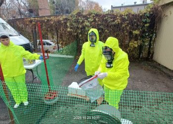 В Ульяновской области учились эвакуировать животных во время ЧС