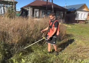 Добрый отряд современных тимуровцев появился в Ульяновской области