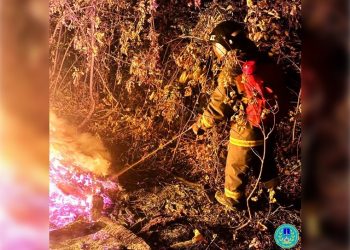 В Ульяновске потушили заброшенное строение на Волжском склоне